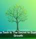 Scalable Tech Is The Secret to Sustainable Growth