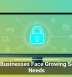 Small Businesses Face Growing Security Needs